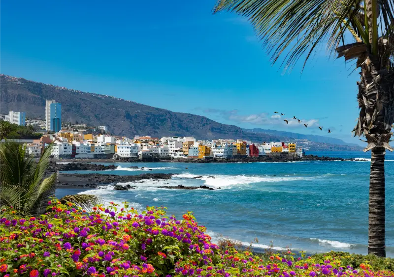 Landmark Tourism Canary Islands Spain Beaches