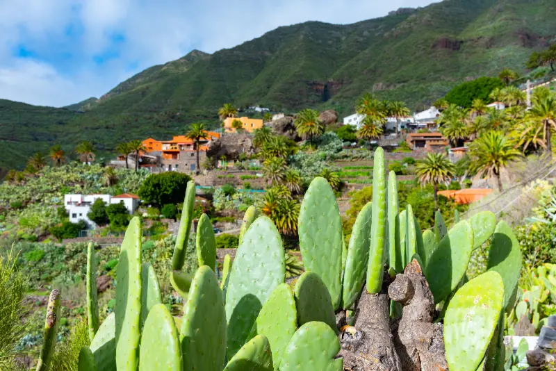 Masca Tenerife