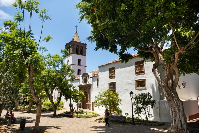 Old Church City Icod de los Vinos Island Tenerife