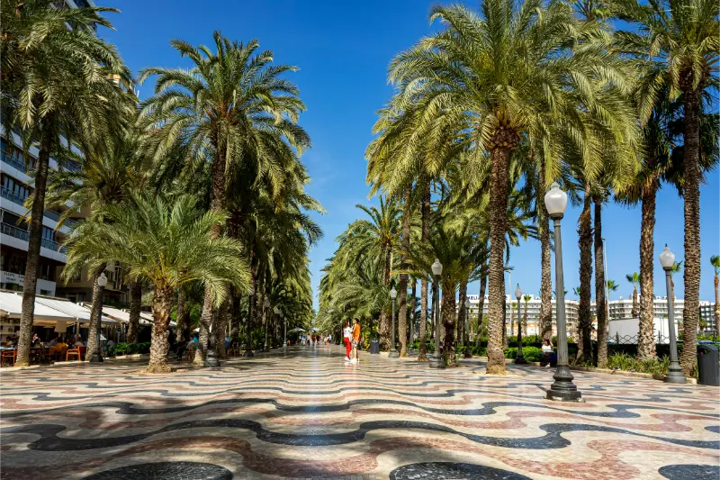 Palm Promenade in Las Palmas de Gran Canaria