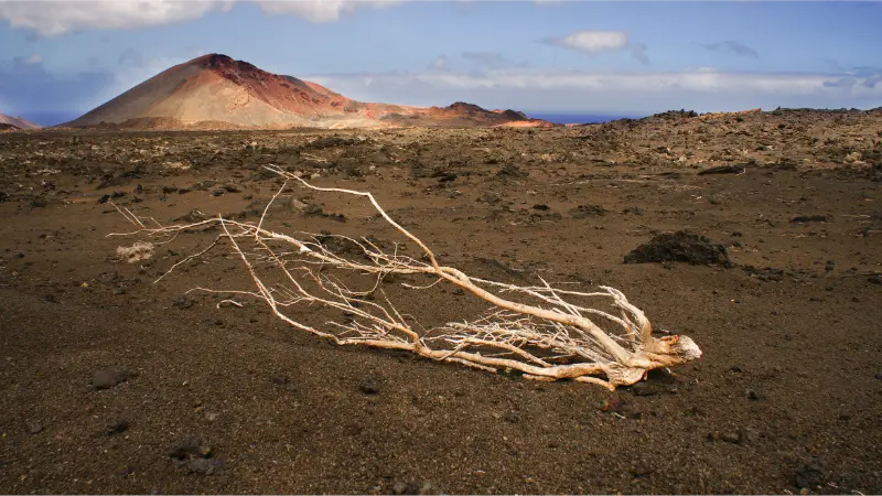 Timanfaya National Park Lanzarote Canary Islands Spain