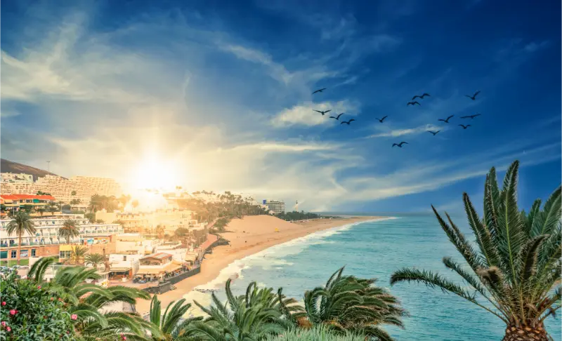 View Morro Jable Beach Fuerteventura Sunset Canary Islands Spain